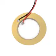 50mm Piezo Buzzer 1