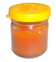 Pinax Lehim Pastası 40gr 2