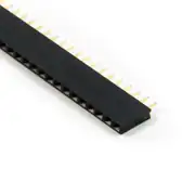 1X40 DİŞİ HEADER 1